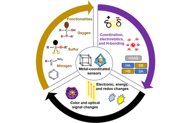 Structure-function relationships in metal-ligand coordination sensors for metal-ion detection 2026.100972